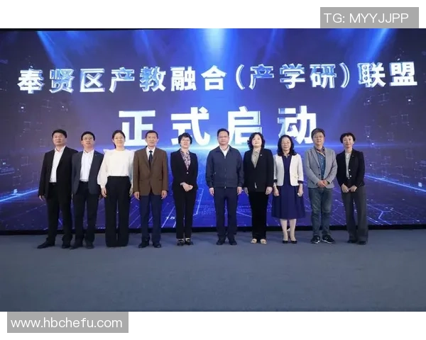 上海排球队灵活性探讨：技战术创新与团队协作的完美结合