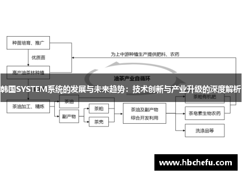 韩国SYSTEM系统的发展与未来趋势：技术创新与产业升级的深度解析